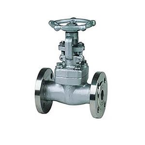 American standard small_bore forged steel power plant gate valve